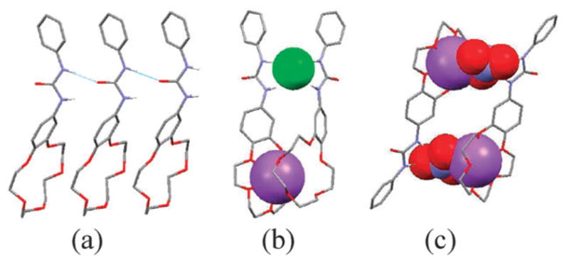 Fig. 20