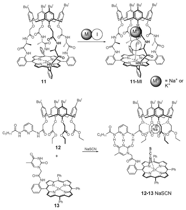 Fig. 5