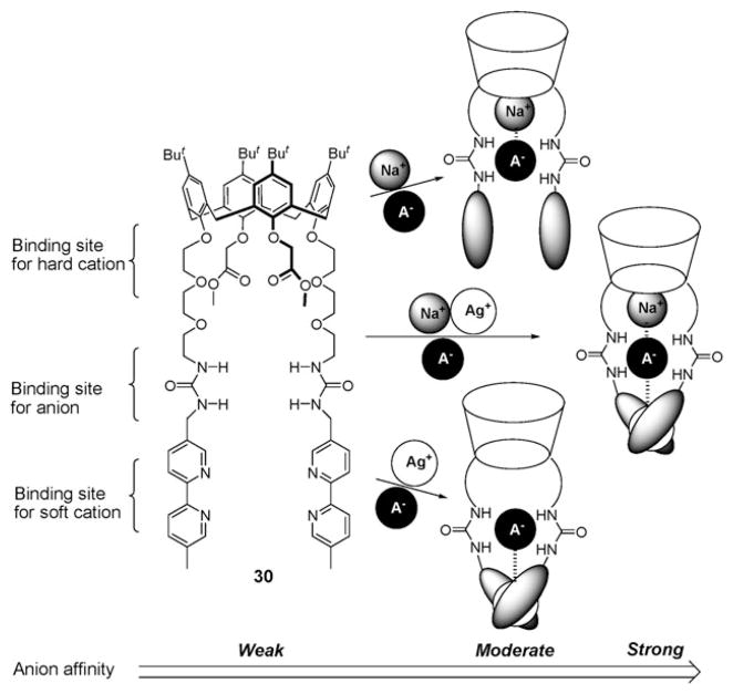 Fig. 15