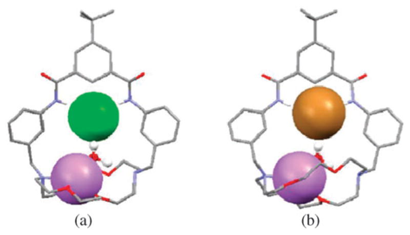 Fig. 23