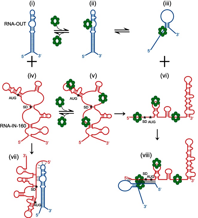 FIGURE 10.