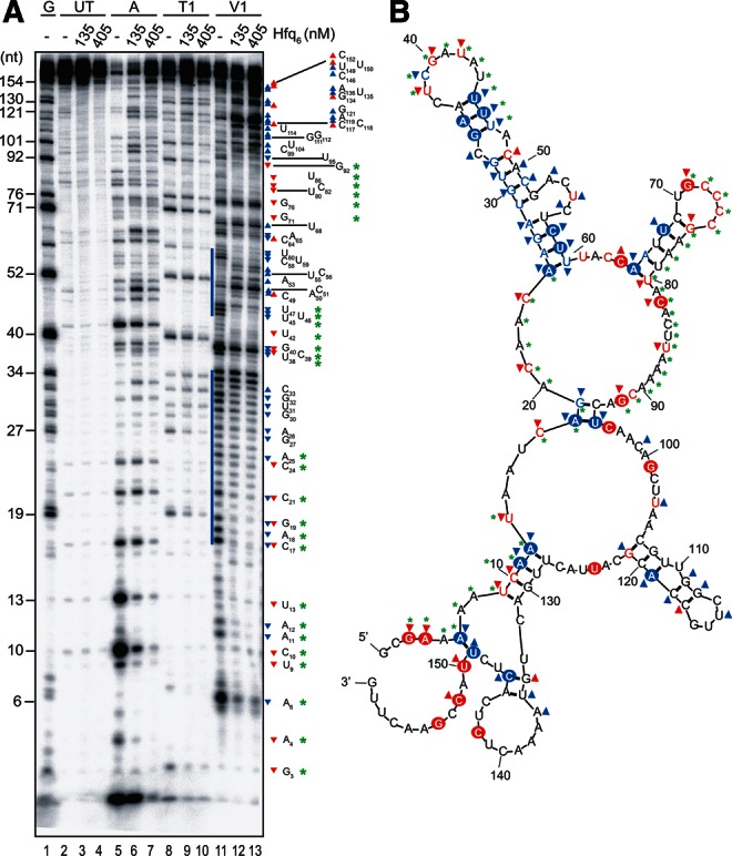 FIGURE 4.