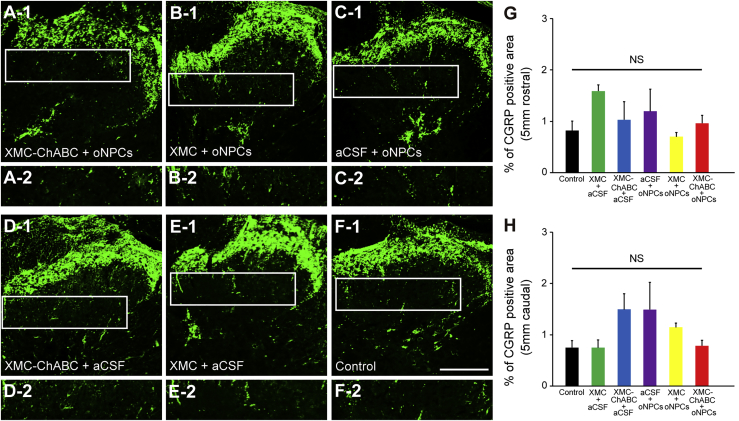 Figure 6