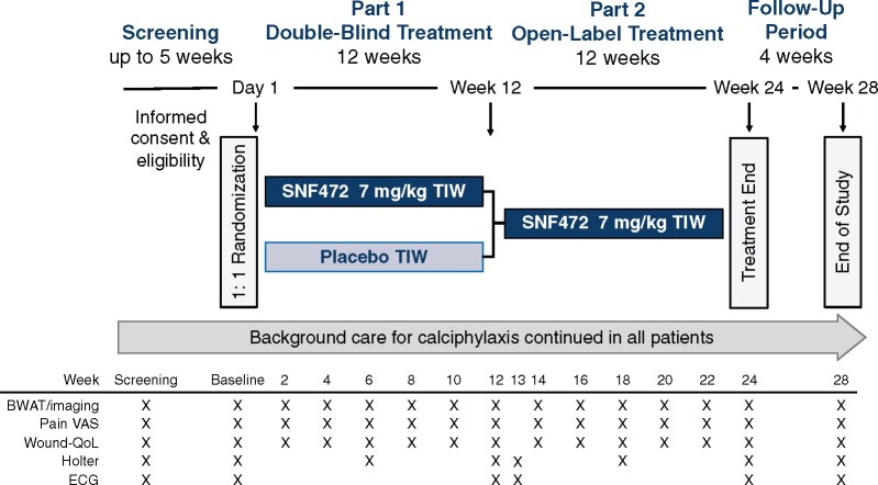 FIGURE 1: