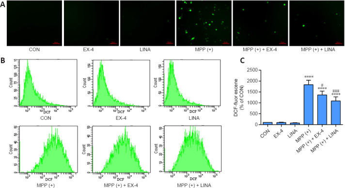 Figure 12