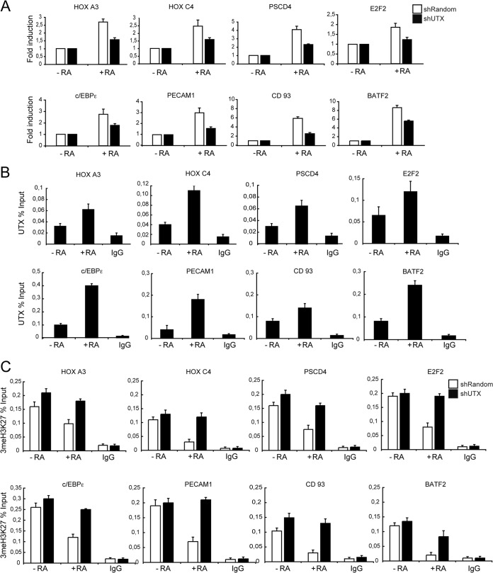 FIG 2