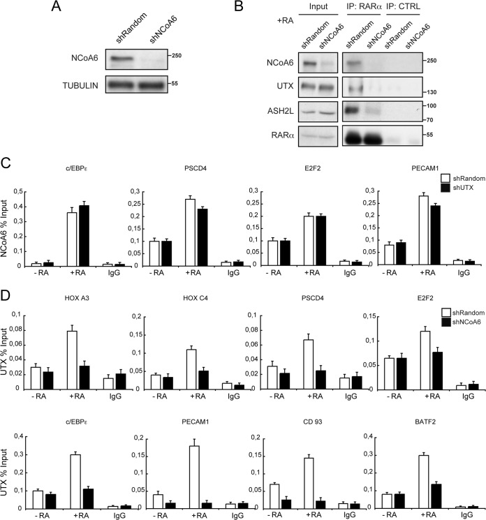 FIG 6