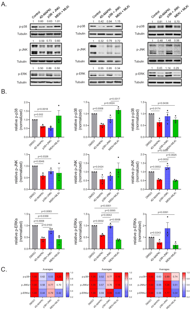 Figure 3—figure supplement 1.