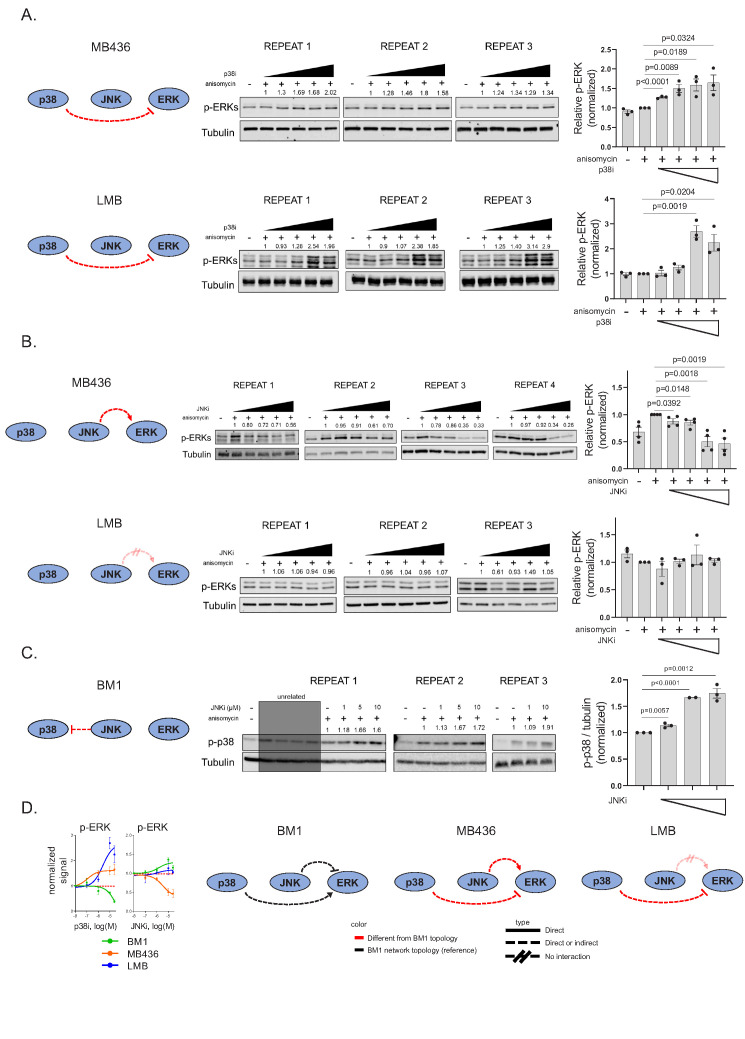 Figure 5—figure supplement 1.