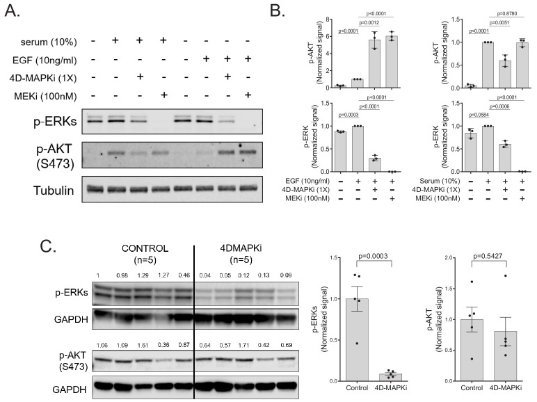 Figure 6—figure supplement 1.