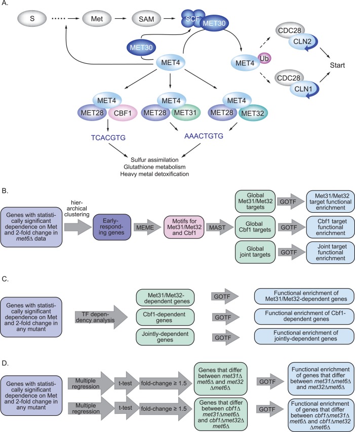 FIGURE 1: