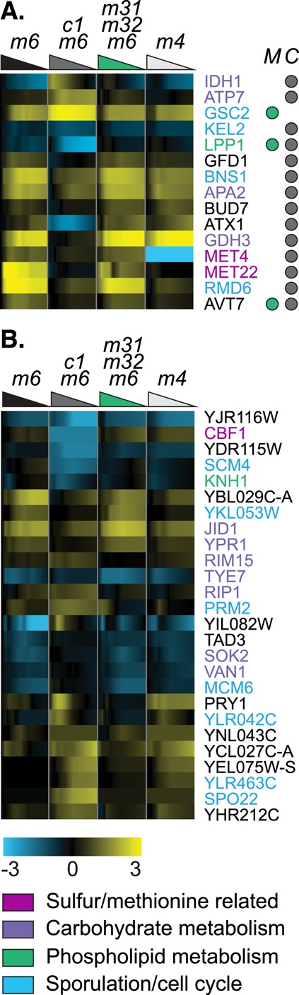 FIGURE 5: