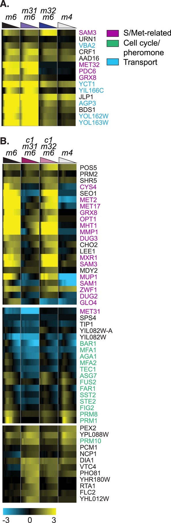 FIGURE 7: