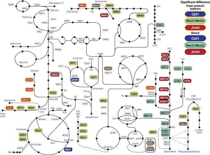 FIGURE 10: