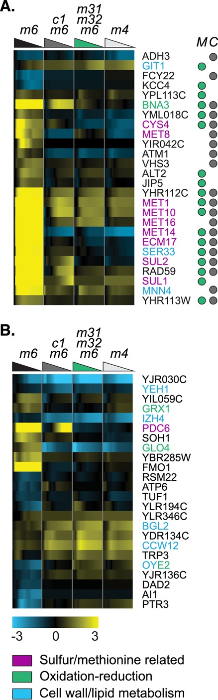 FIGURE 6: