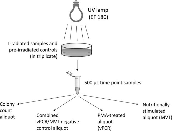 FIG 1