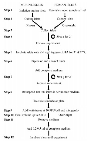 Fig. (1)