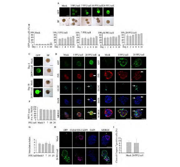 Fig. (4)