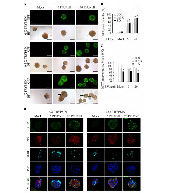 Fig. (3)