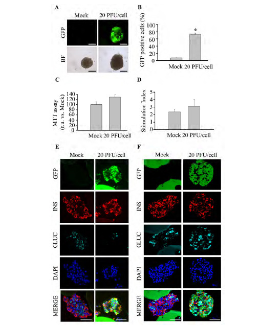 Fig. (5)