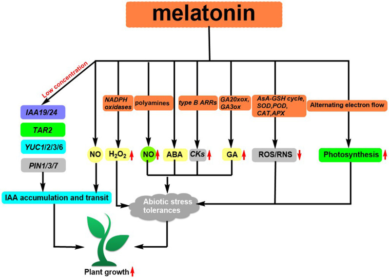 Figure 4