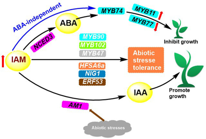 Figure 3