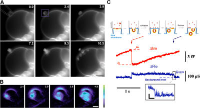 Figure 2.