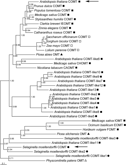 Figure 7.