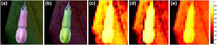 Fig. 4