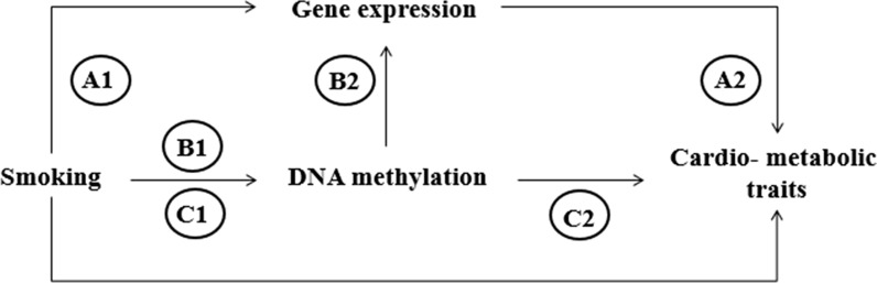 Fig. 3