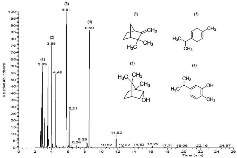 Figure 1