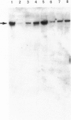 2812