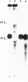 2812