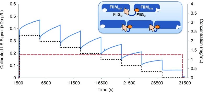 Fig. 3