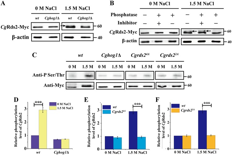 FIG 3