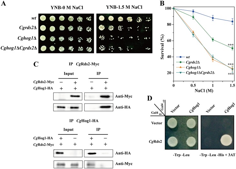 FIG 2