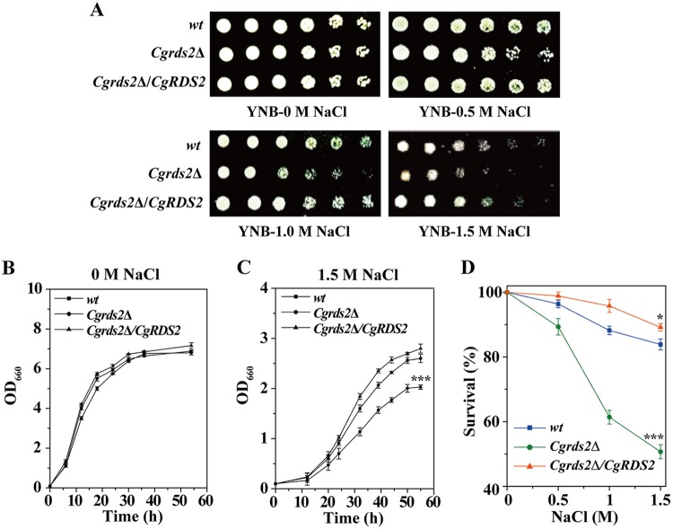 FIG 1