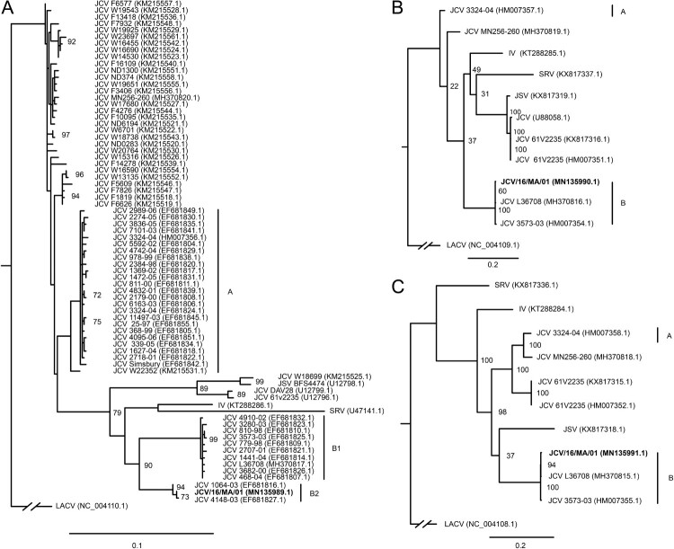 Figure 3.