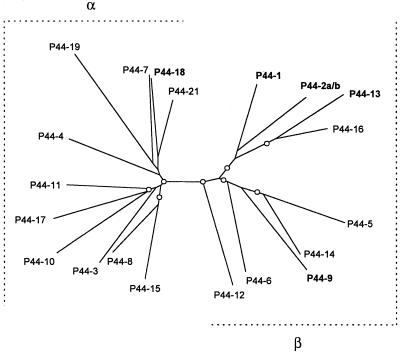 FIG. 7.