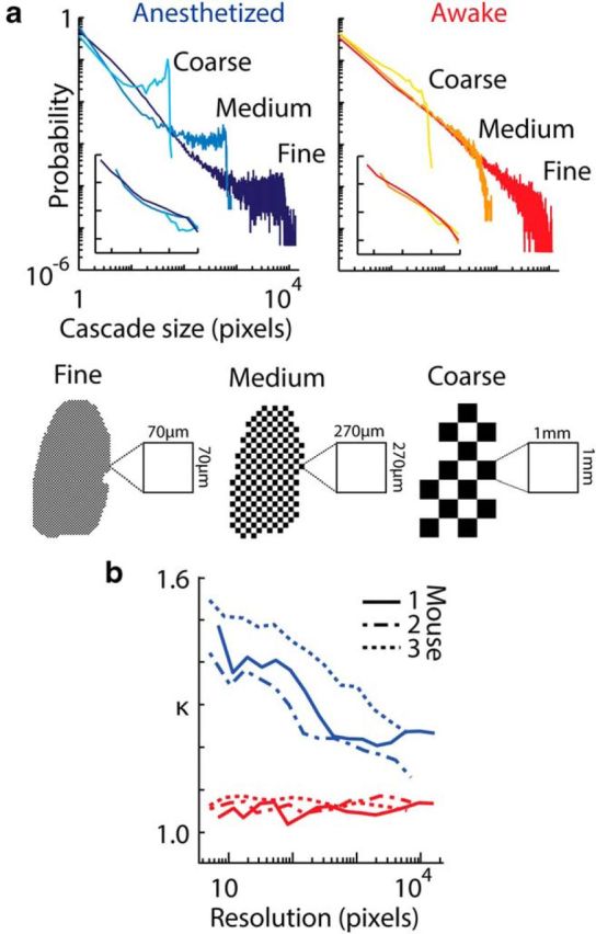 Figure 9.