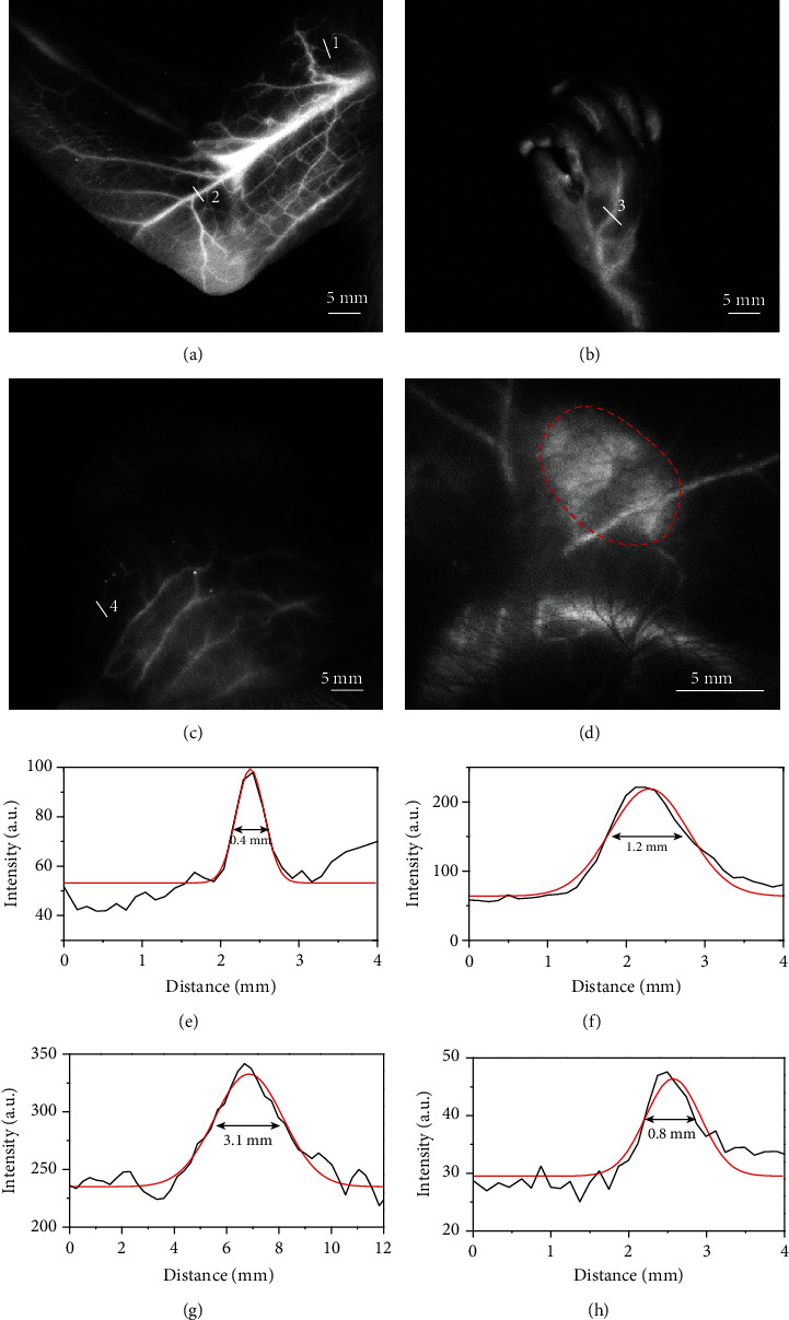 Figure 4