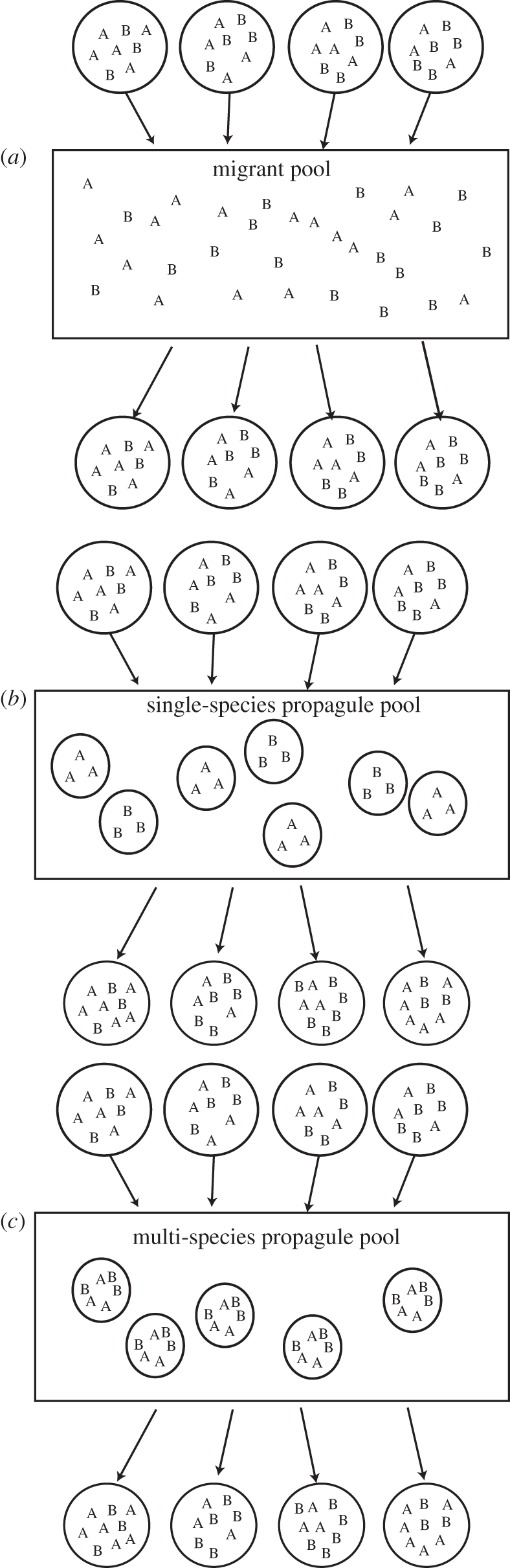 Figure 1.