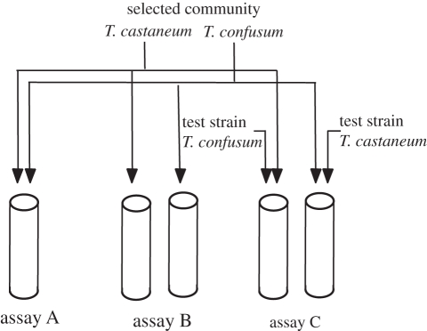 Figure 4.