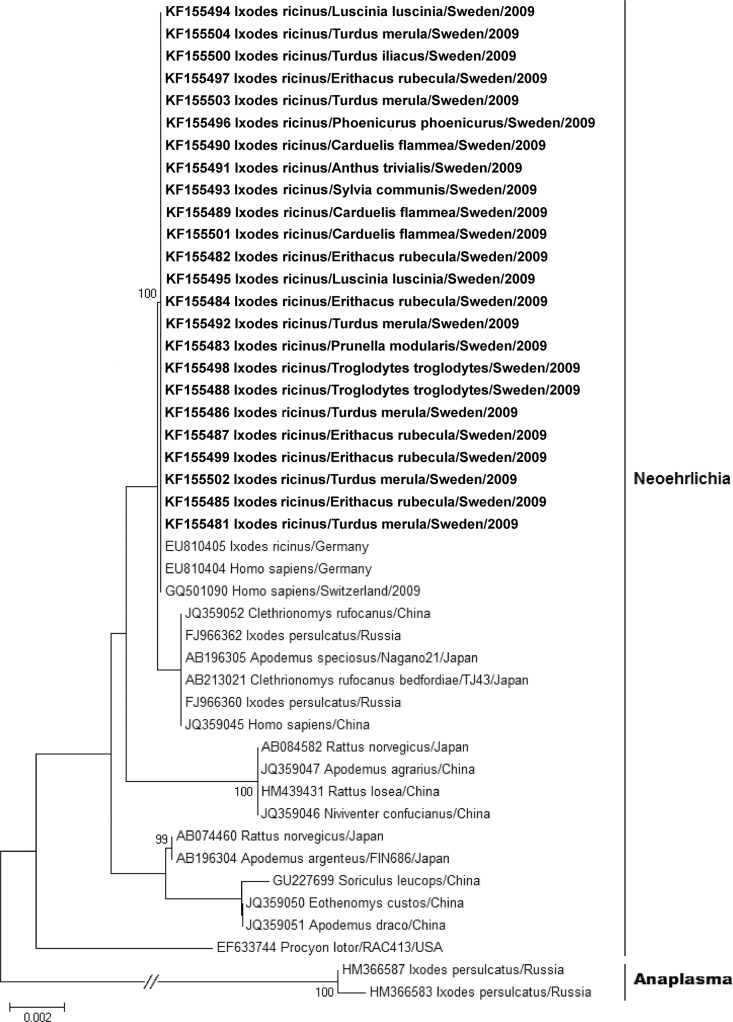 Fig 1