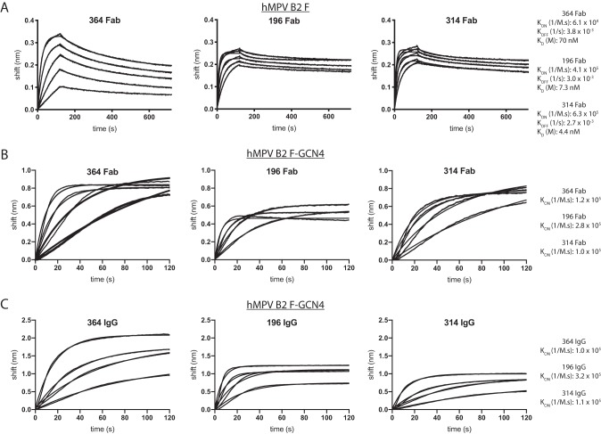 FIG 3