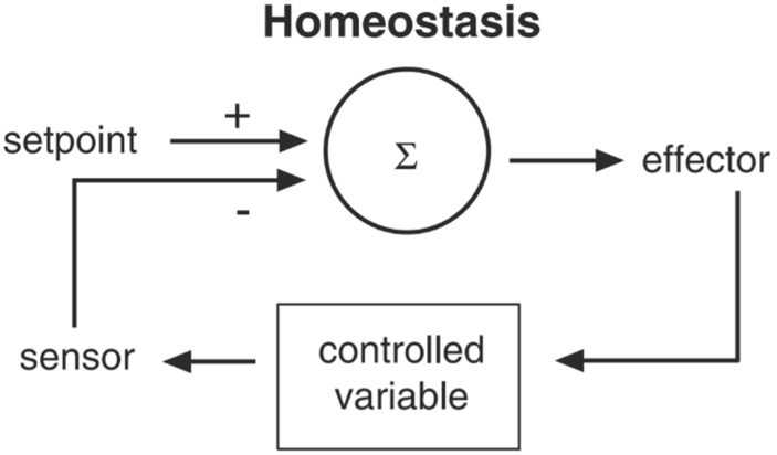 Figure 1: