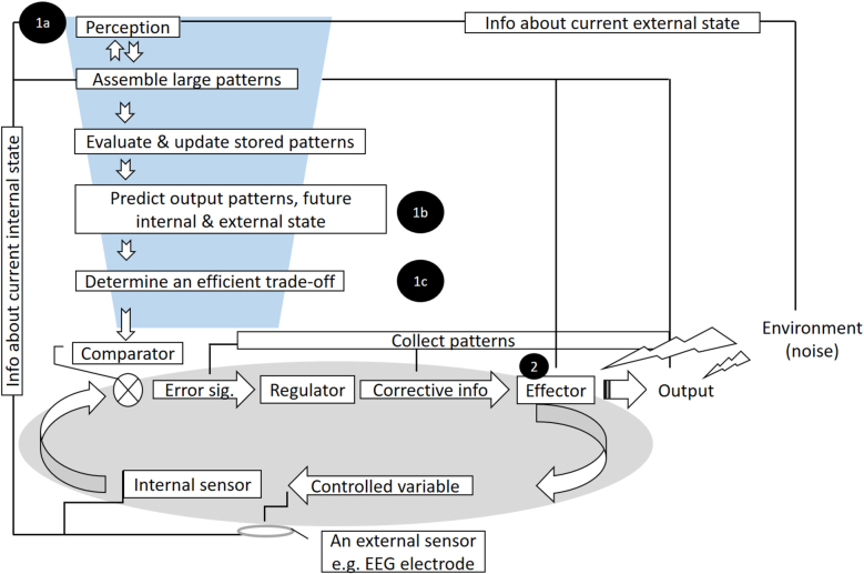 Figure 4: