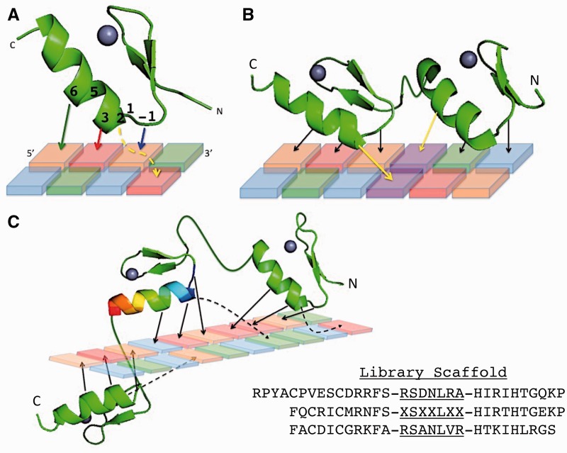 Figure 1.