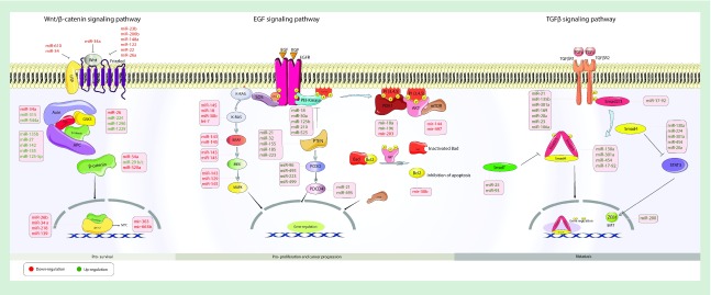 Figure 2. 