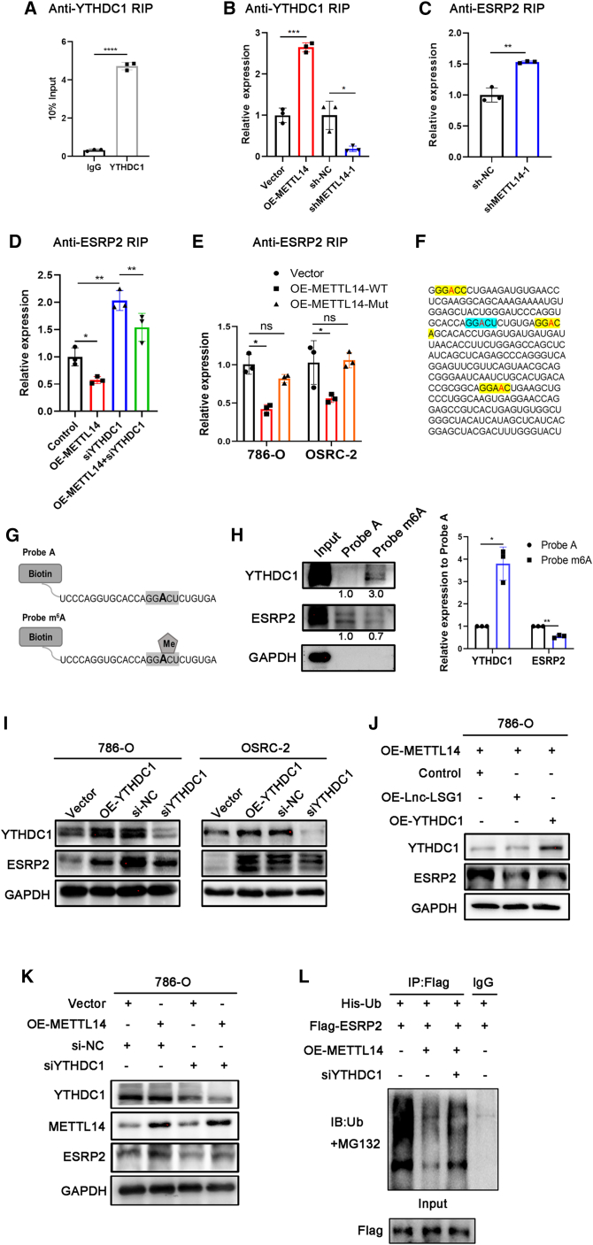 Figure 6